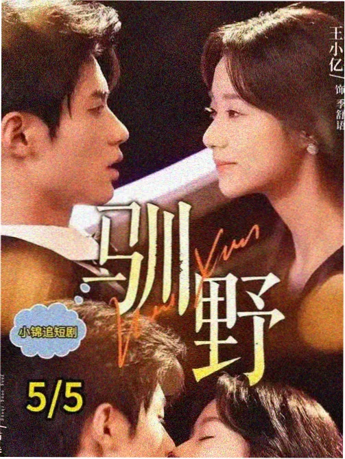 恋爱备忘录 - 青春爱情